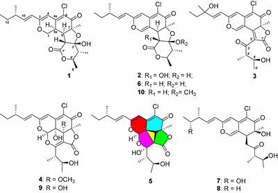 Pro-angiogenic New Chloro-Azaphilone Derivatives From the Hadal Trench-Derived Fungus Chaetomium globosum YP-106
